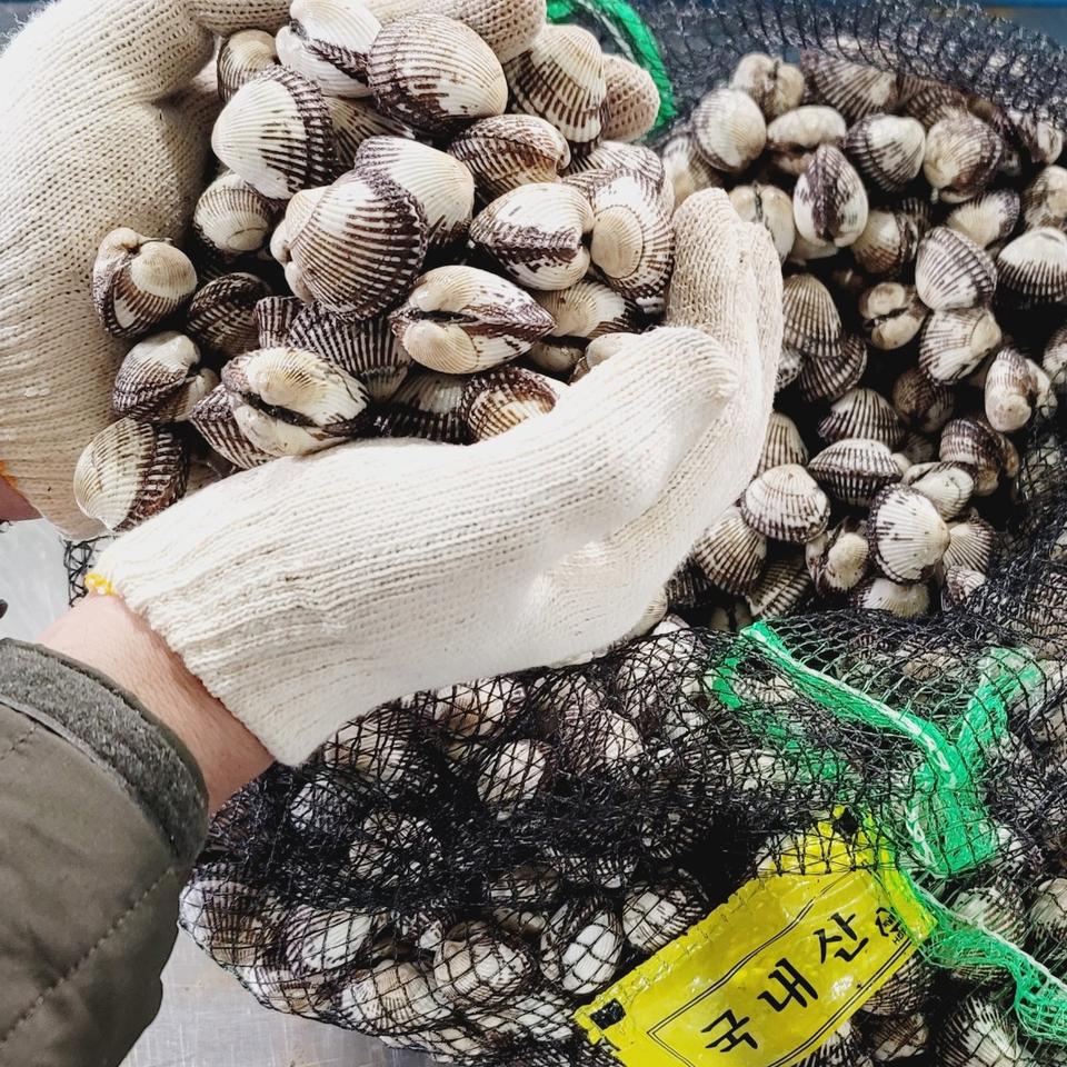 여수 여자만 새꼬막 2kg+1kg