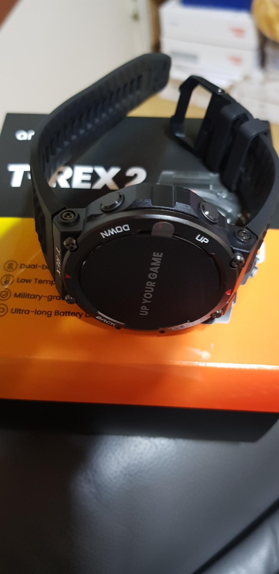 어메이즈핏 티렉스2