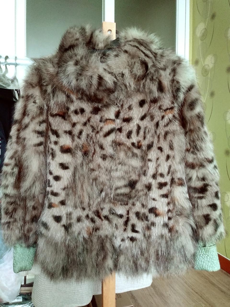 흔치 않은 블루폭스 코트