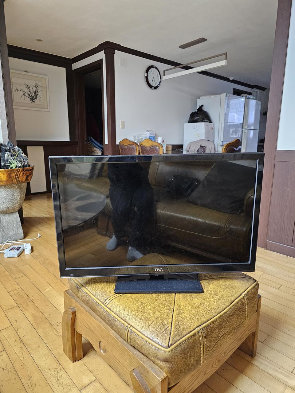 ❤몰디 티비겸 모니터