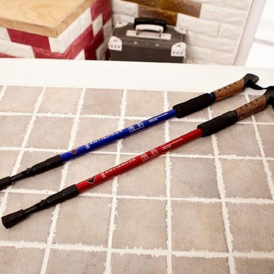 에디슨 트래킹 스틱 3단/ PUQ170