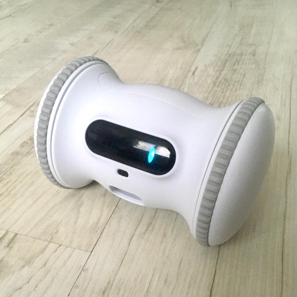 바램펫 피트니스 반려동물용 로봇 급식기