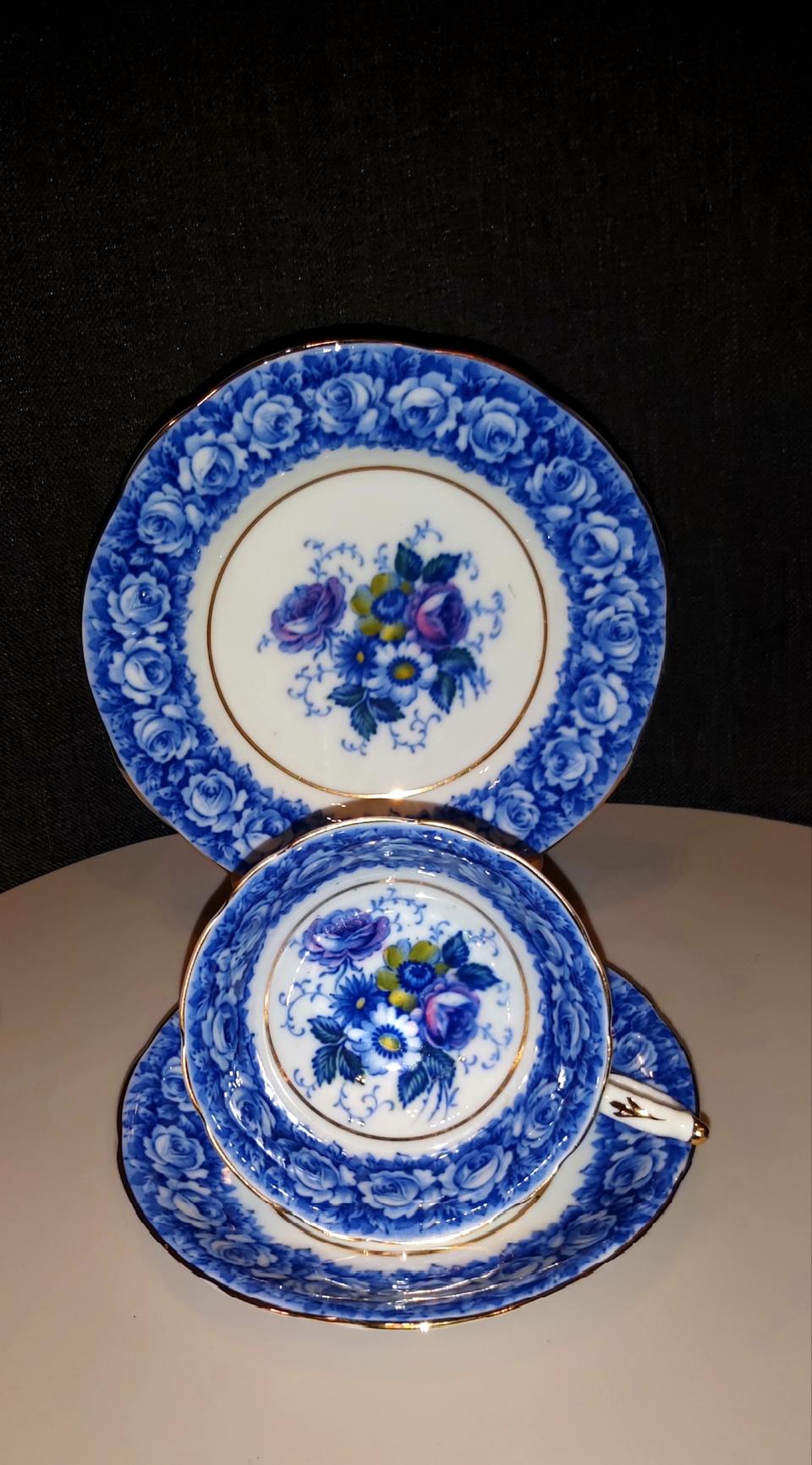 파라곤 블루 로즈 트리오 1조