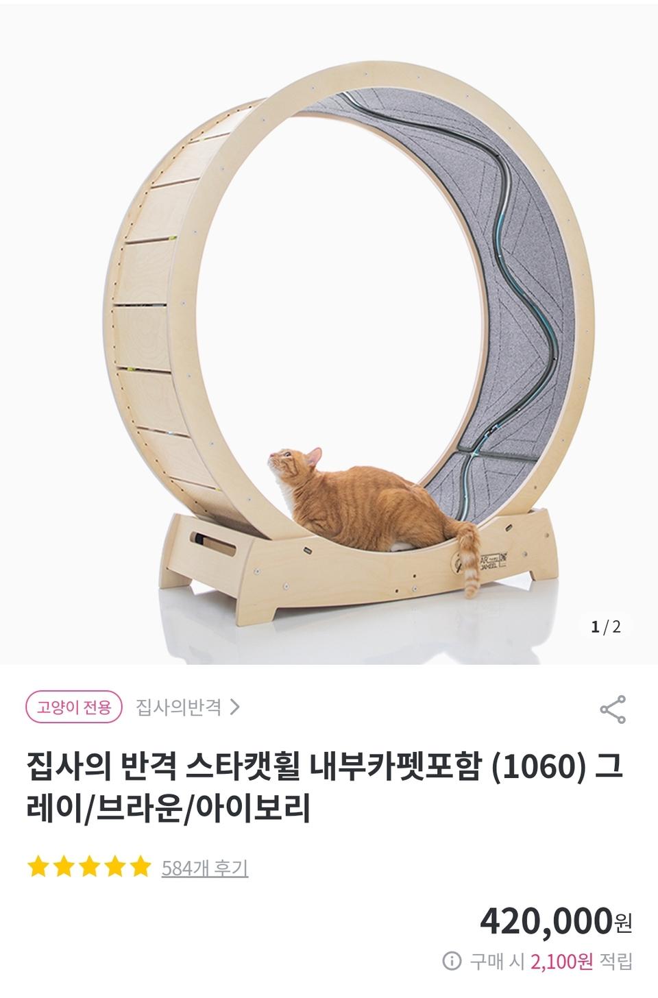 고양이캣휠