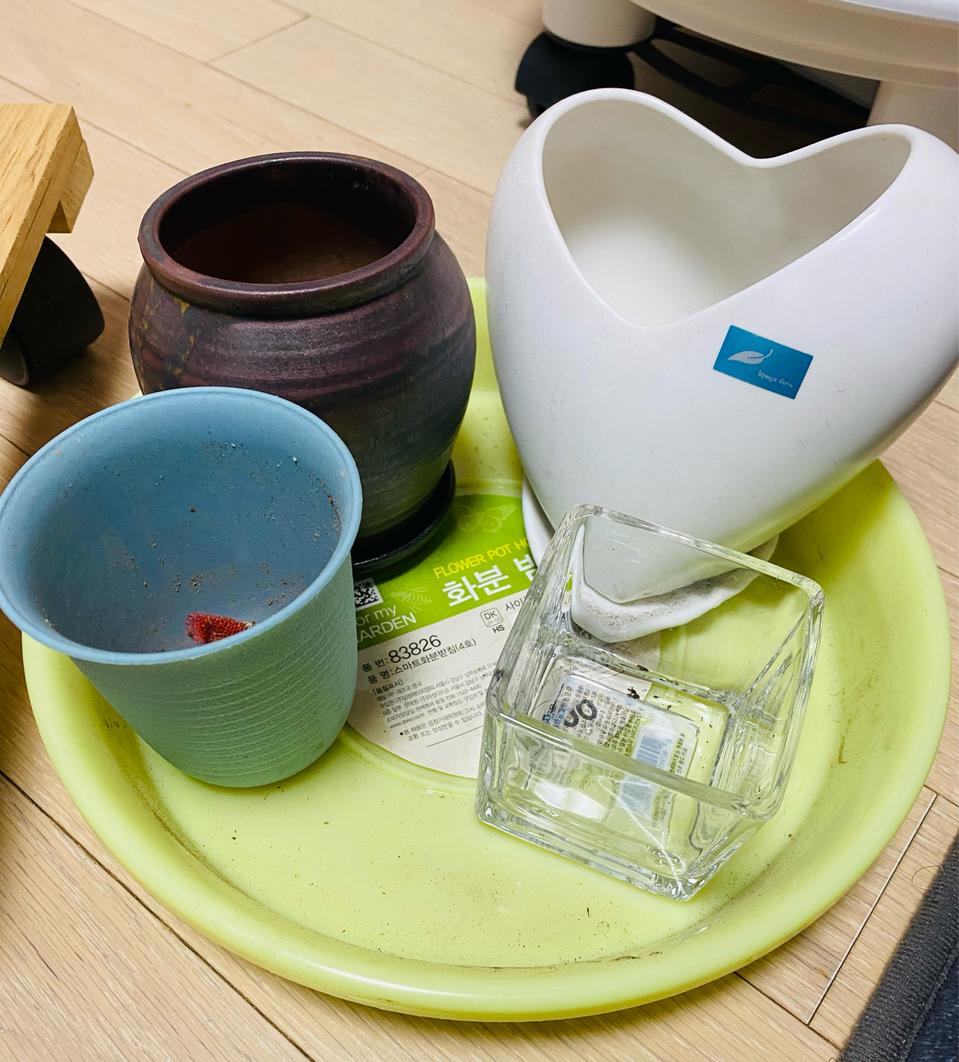 이동화분받침+화분받침+다육미니화분4개 일괄
