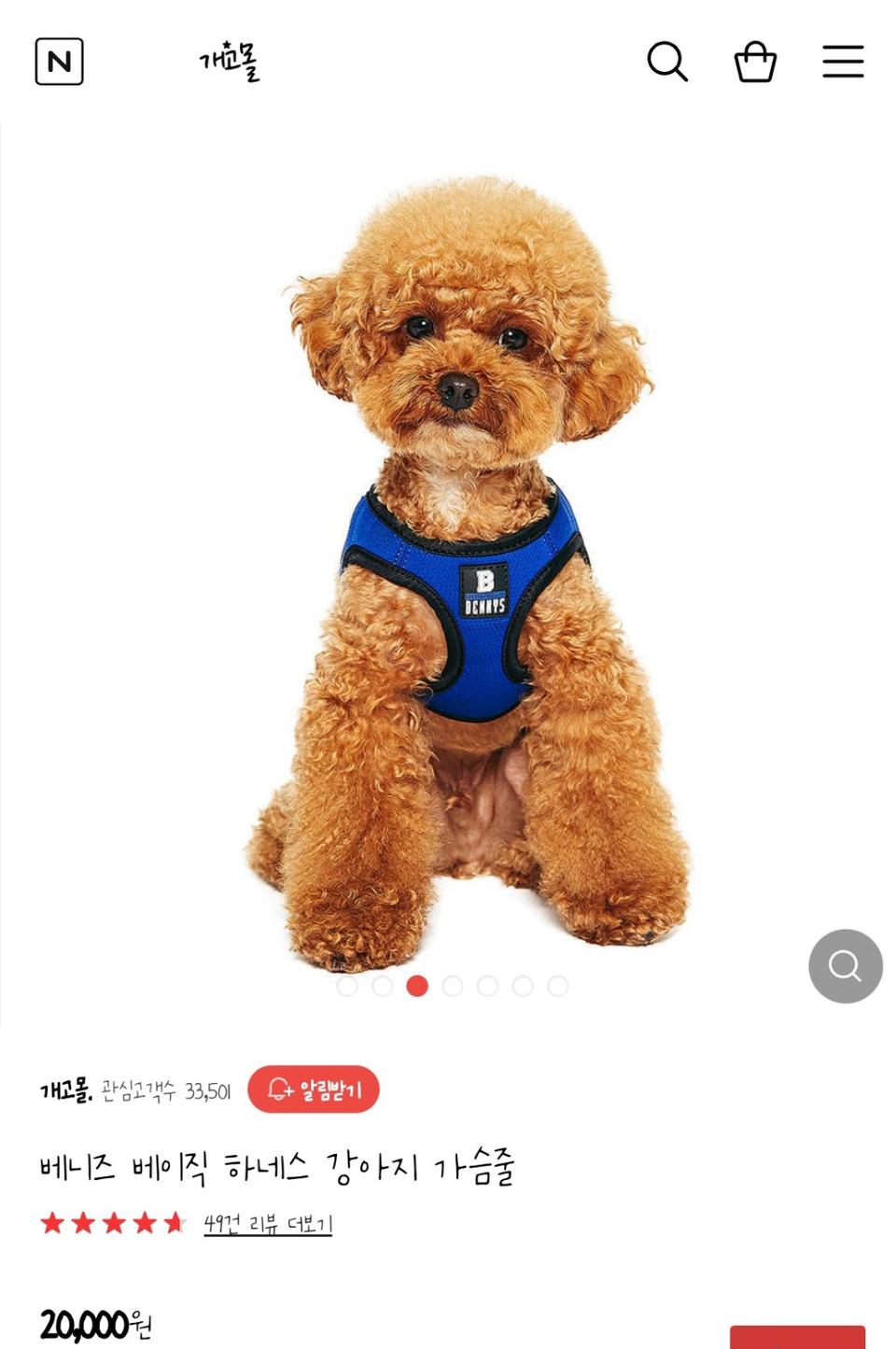 강아지 베니즈 하네스