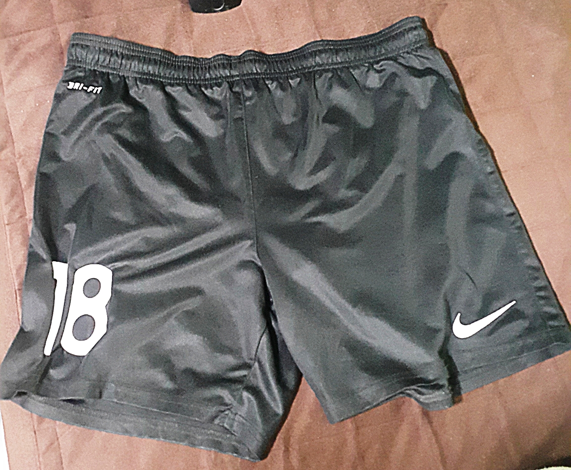 나이키 반바지 M