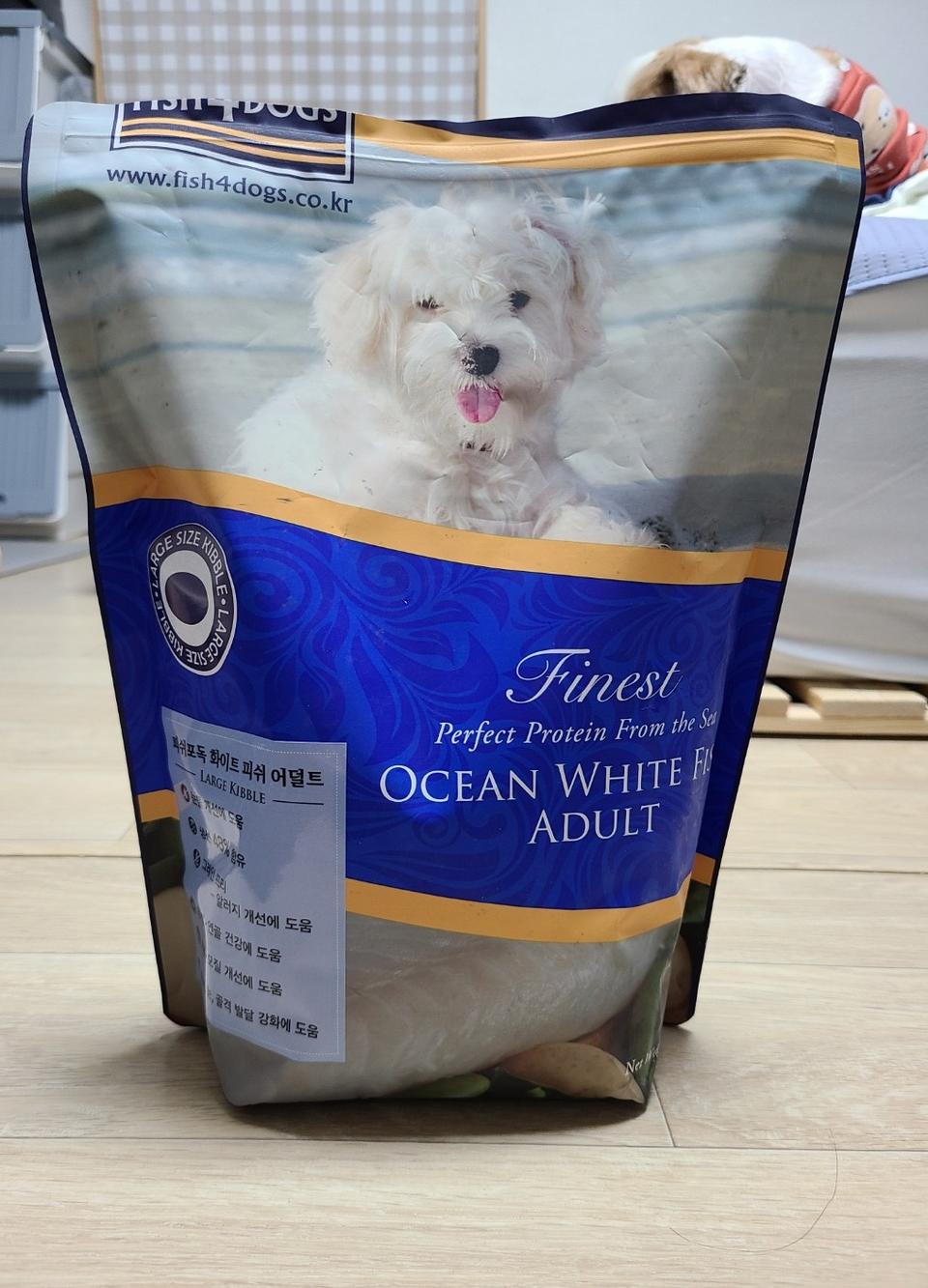 피쉬포독 화이트피쉬 어덜트