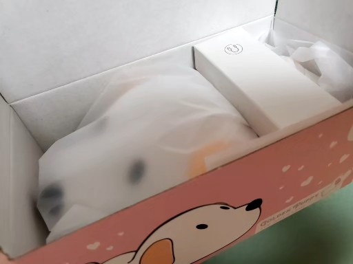 [정품 희귀템] 골든퍼피 댕댕이 무드등