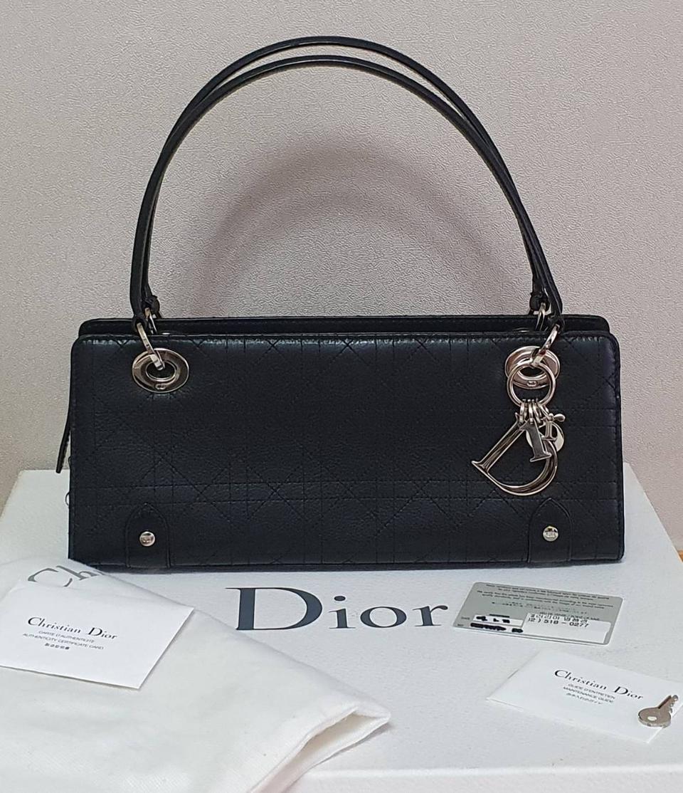 디올 이스트웨스트 디조이백