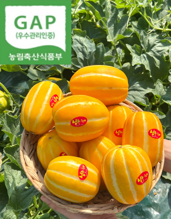 산지직송 GAP 꿀당도 성주참외(무료배송)