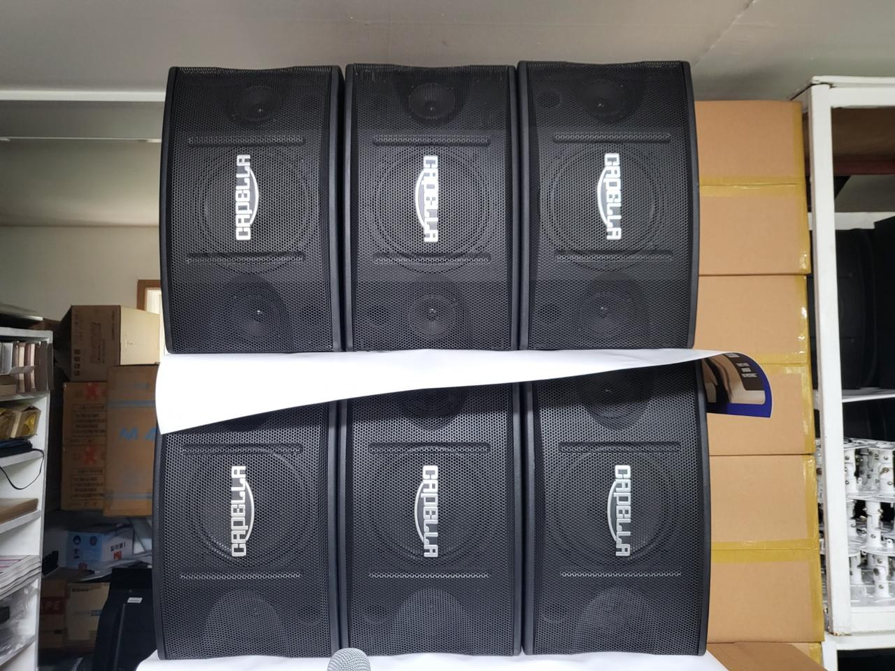 카펠라 자체 하울링 킬러 기능 스피커 판매합니다.