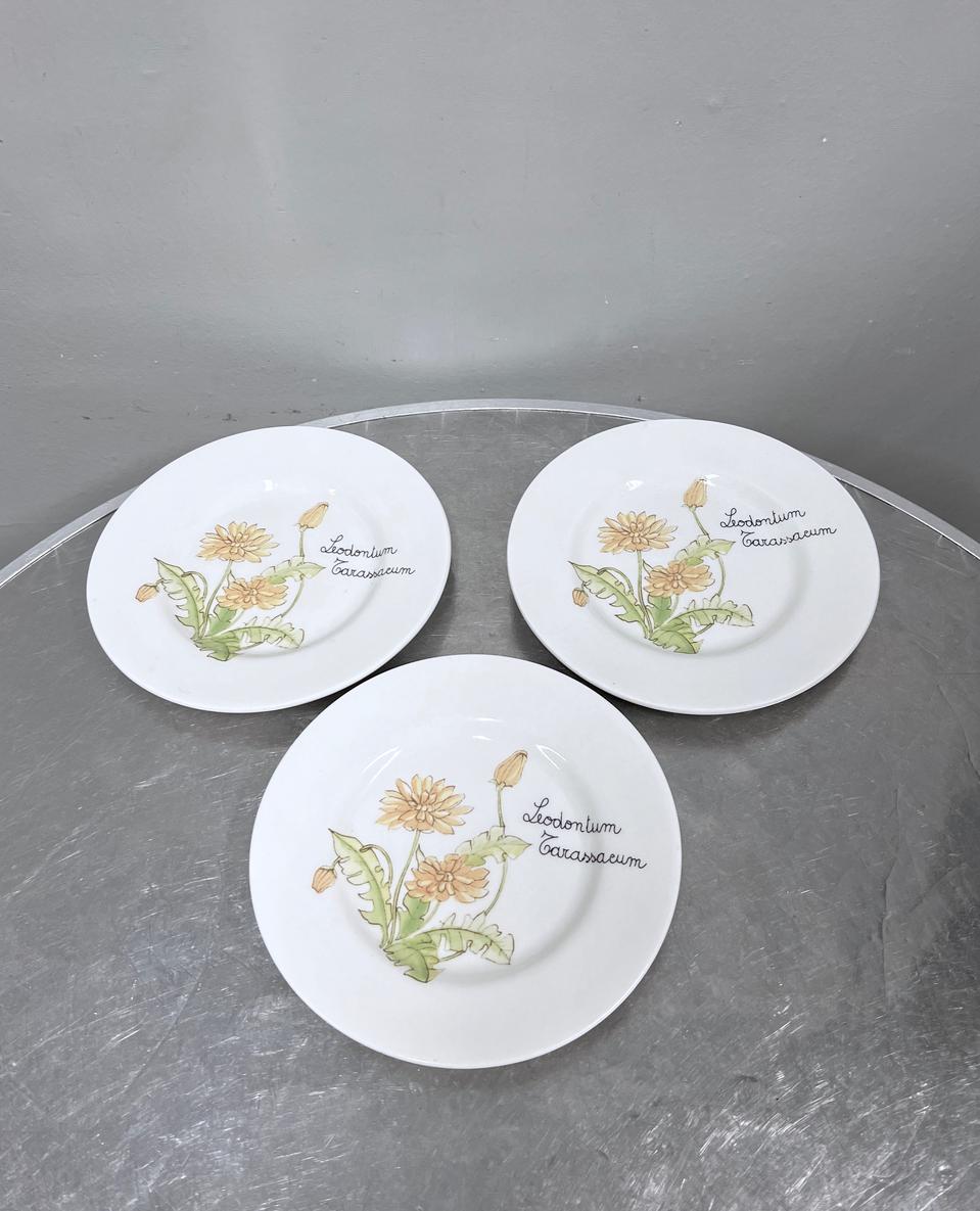 모던하우스 접시 꽃접시 플라워접시 스프링플라워접시 16cm 3개