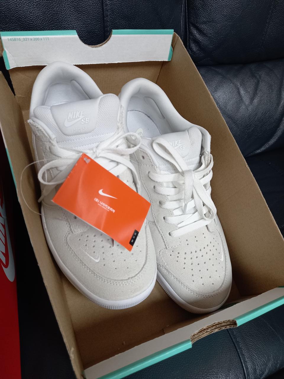나이키 SB 포스 270