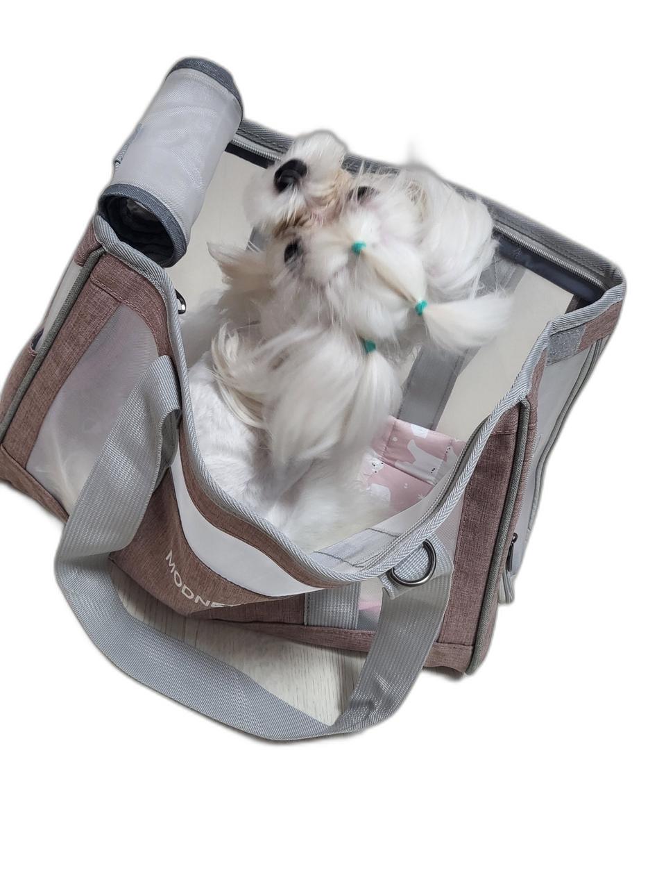 강아지이동가방