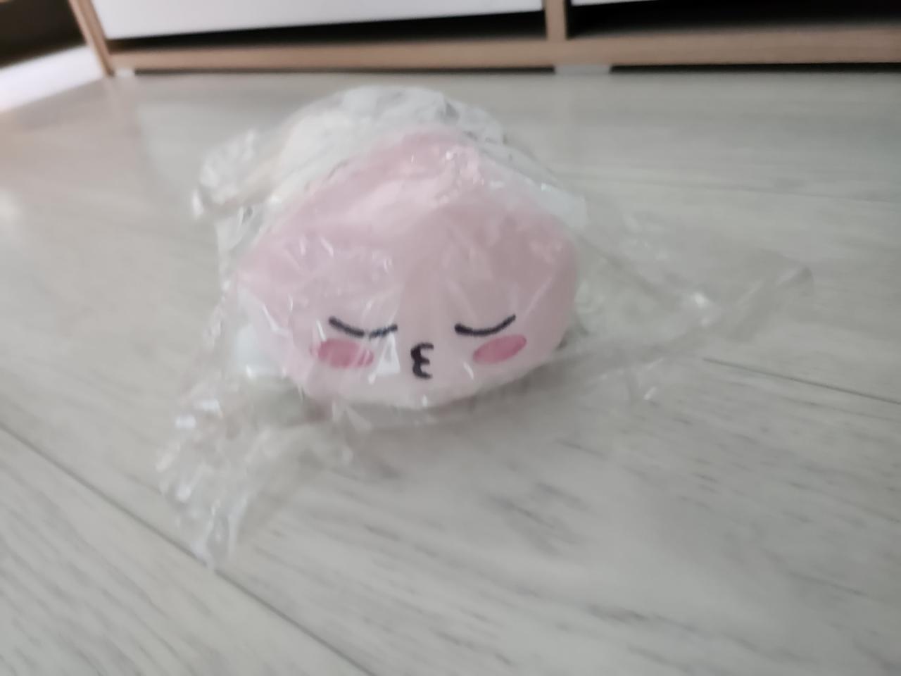 카카오프렌즈 어피치 필통