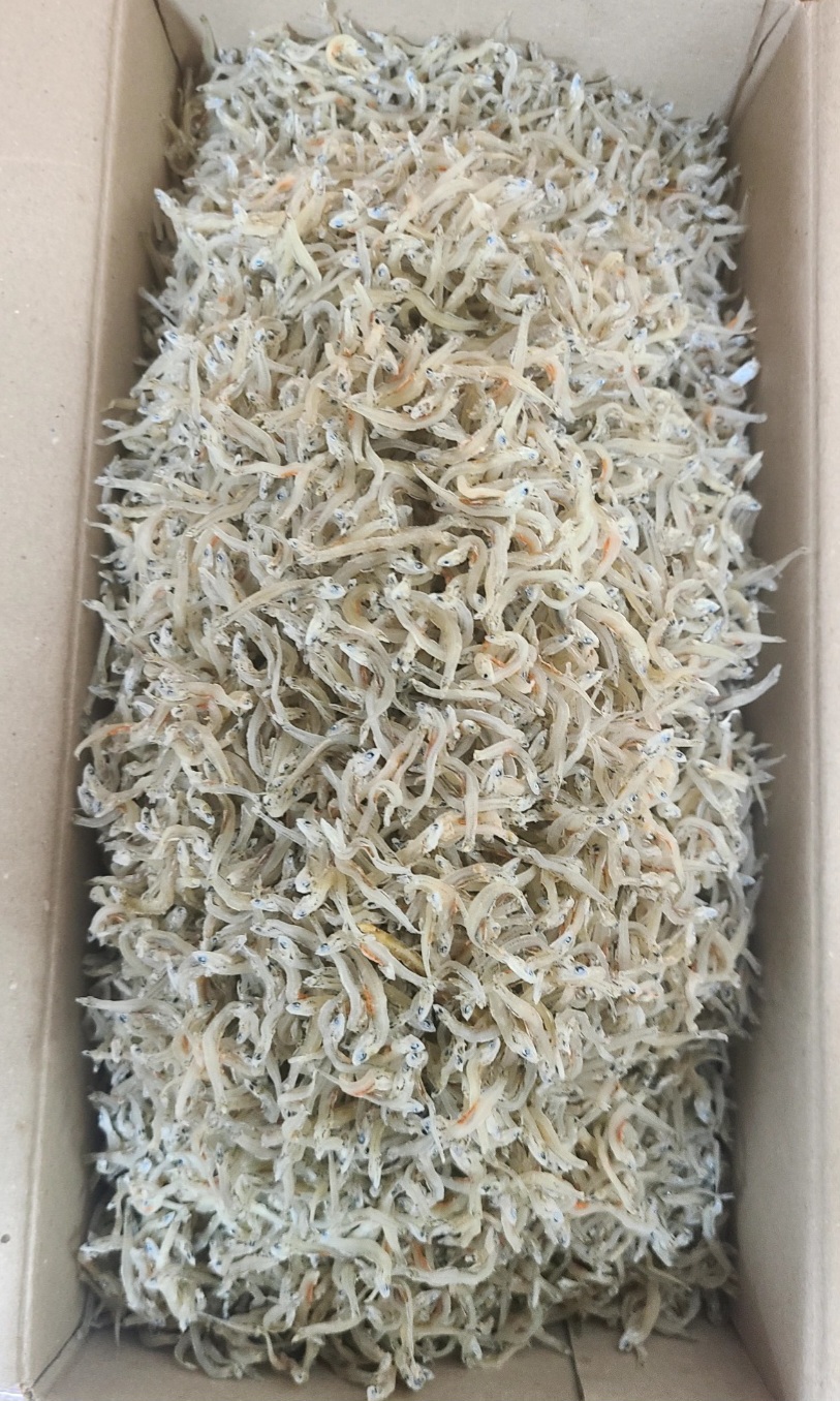 남해안 최고급 알배기 잔지리 햇멸치 볶음용(1.5kg)