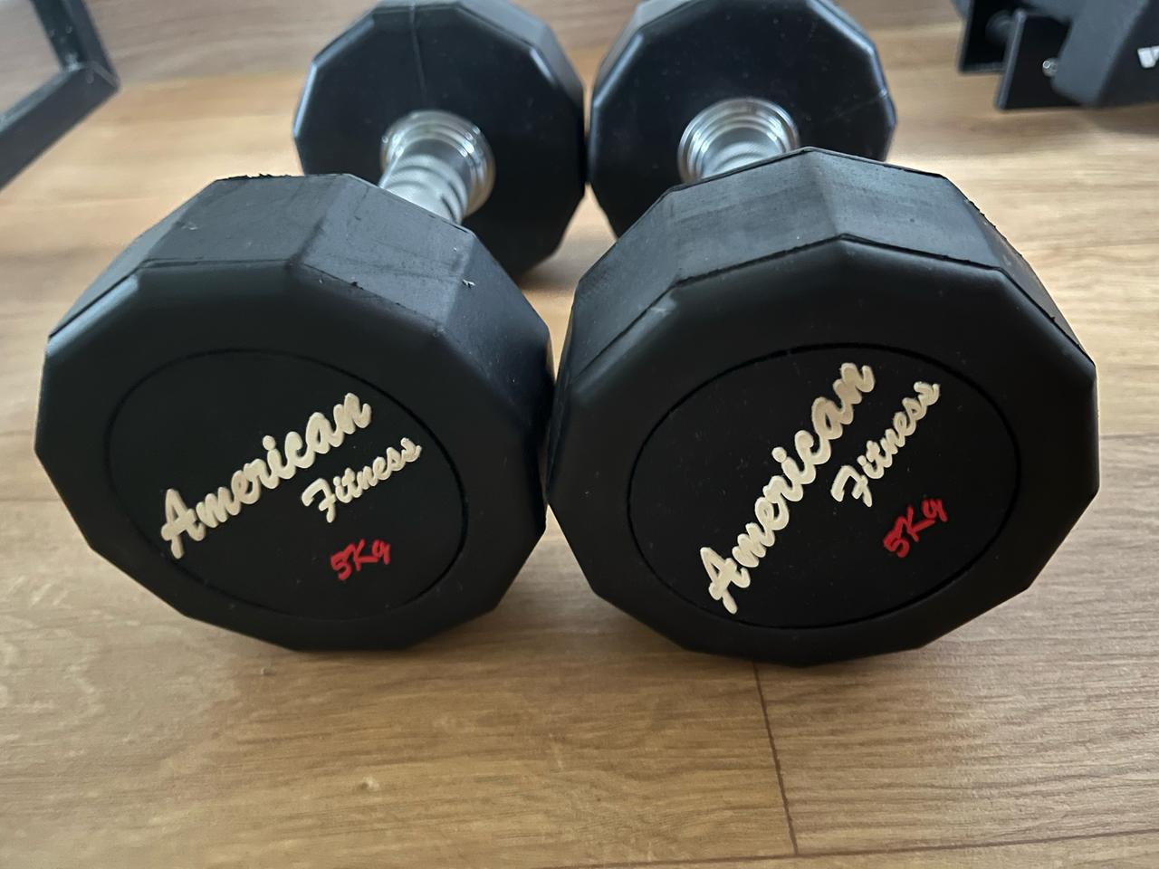 아메리칸이글 12각 블랙 5kgx2개