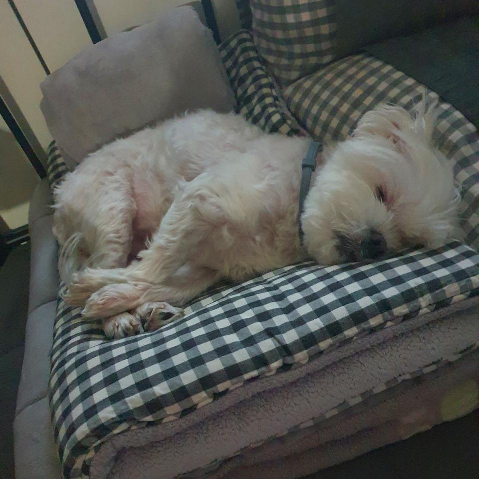 헬로키티 폴딩 동전지갑