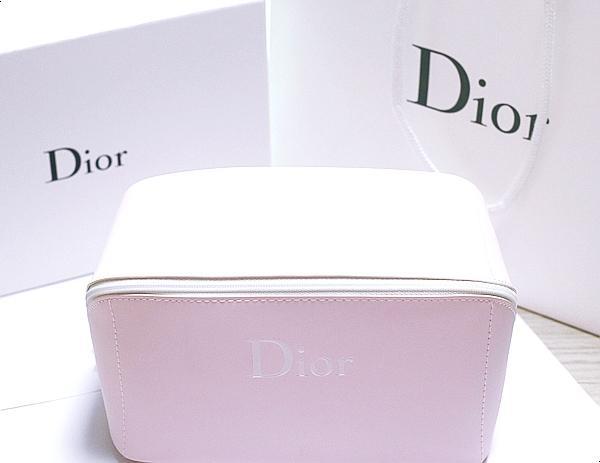 디올 여행용 빅파우치