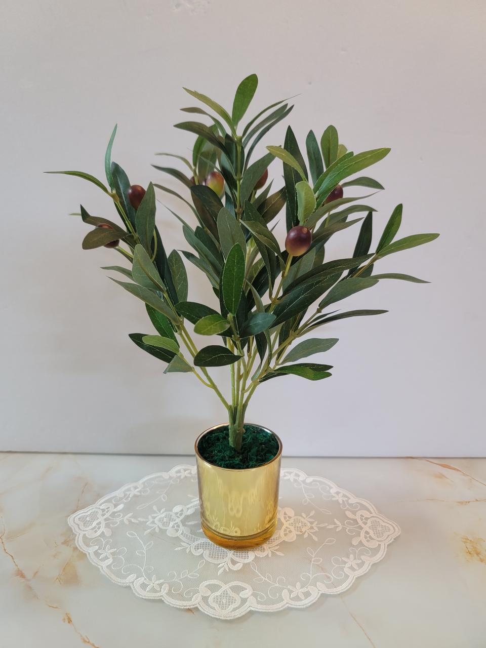 예쁜유리화병과 올리브나무데코 장식세트,조화,홈데코