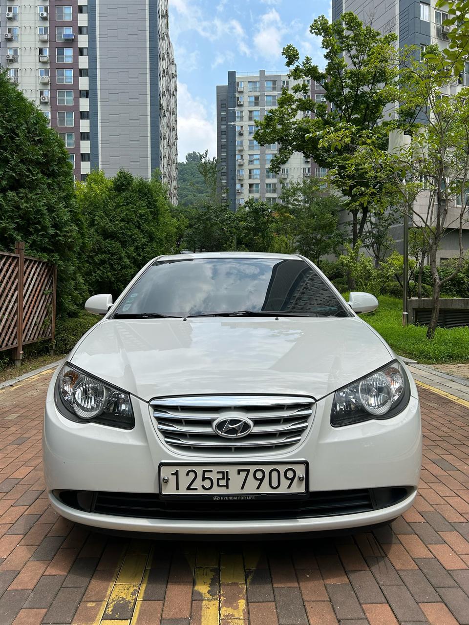 아반테 2010년식 (2009.12.16등록)