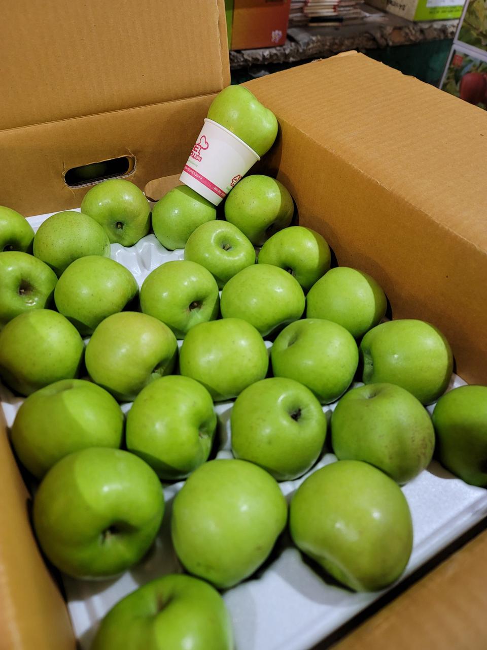 특가 아오리 햇사과 5kg 무료배송