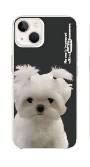 에이블리 말티즈 케이스 s23새상품