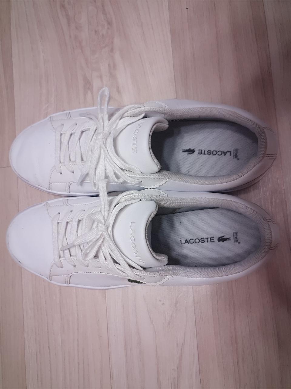 라코스테 신발(260)