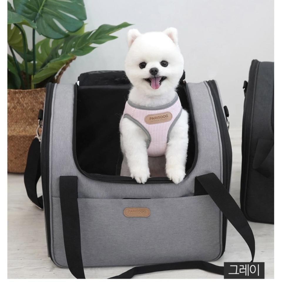패리스독 강아지 카시트