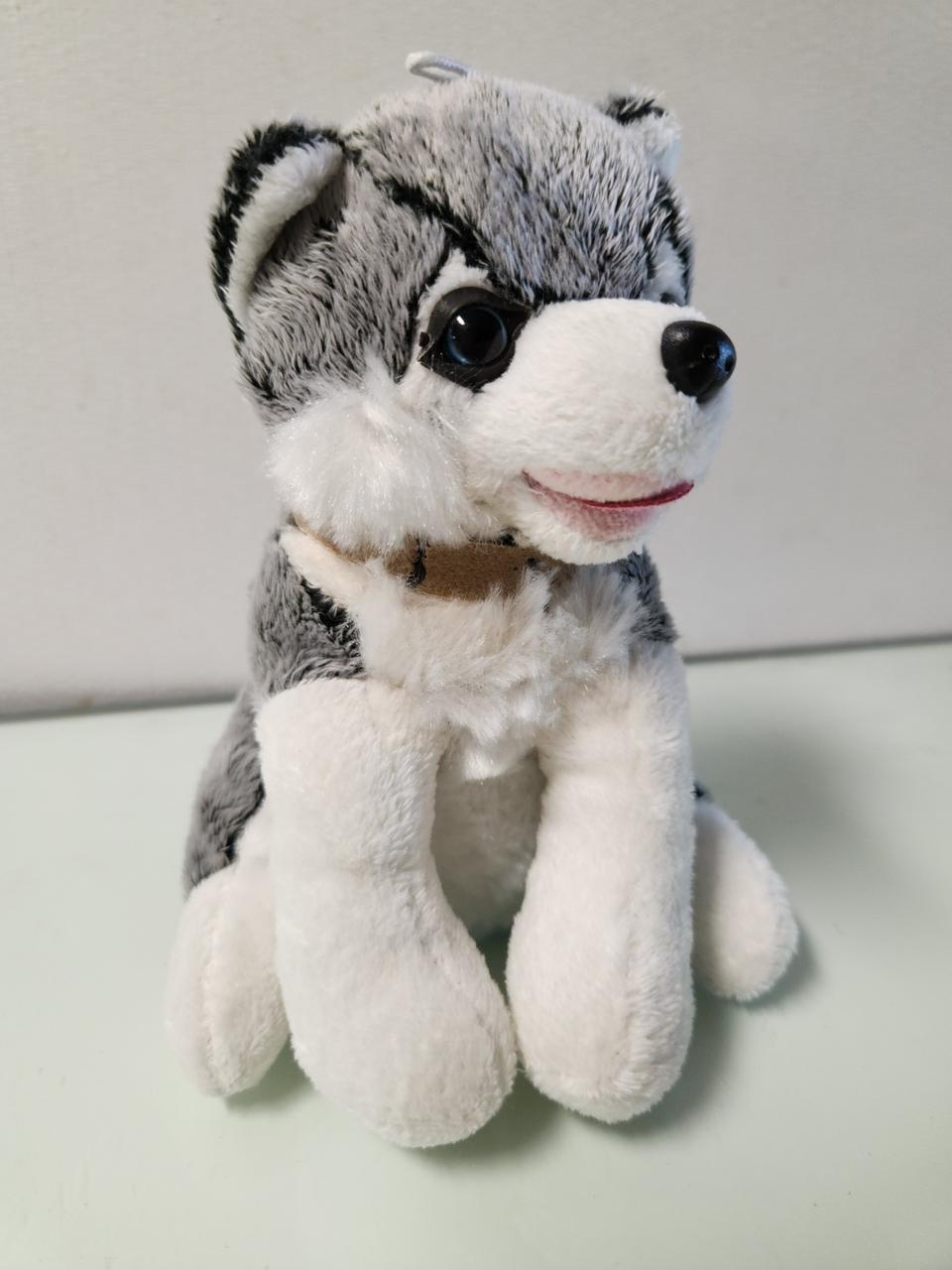 ♥강아지 인형♥