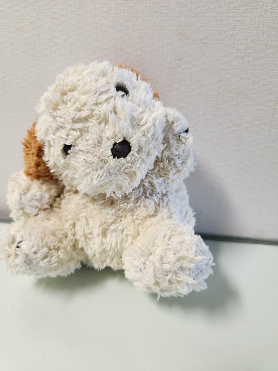 ♥강아지인형♥포토샵소품.인테리어용*(반값택배가능)