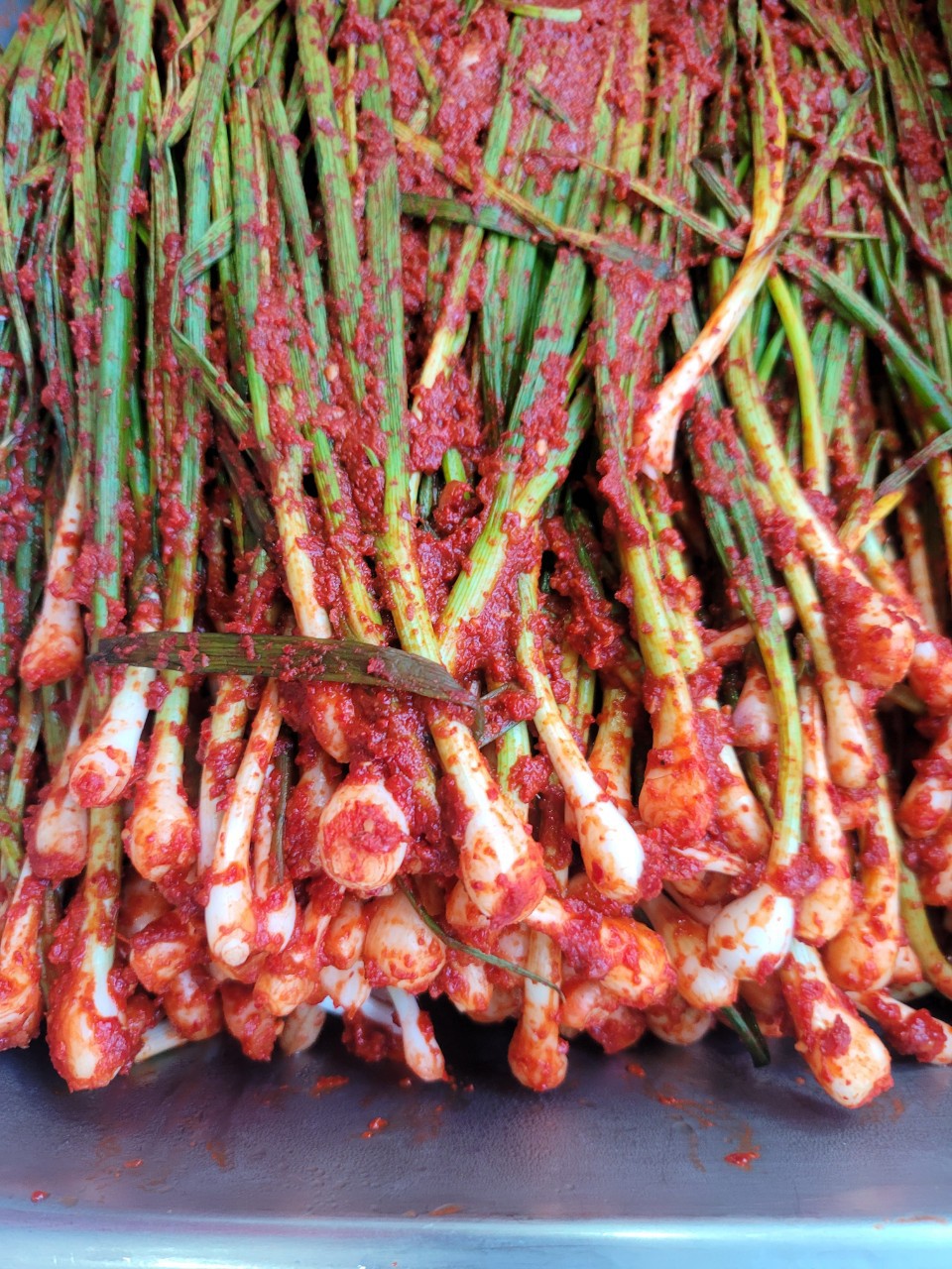 햇~~쪽파김치_전라도식 핵폭탄 세일2키로