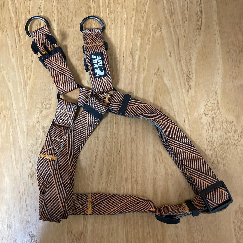 와일드독 하네스 팝니다