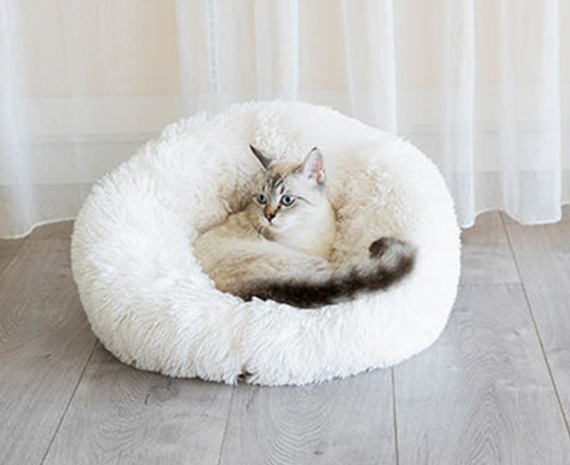 강아지 고양이 푹쉰 방석