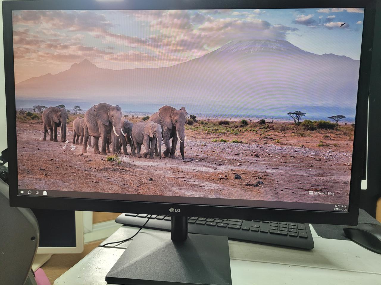 LG(24MK400H)IPS 24인치모니터