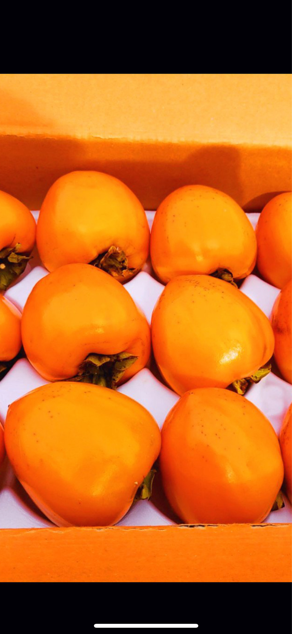 하동악양대봉감