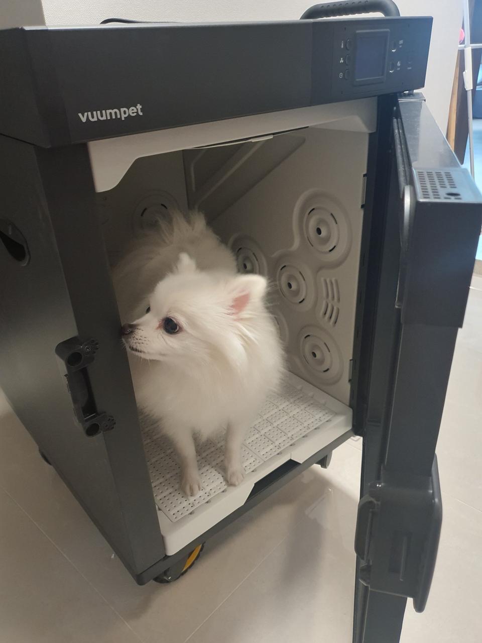 붐펫K100 펫드라이룸