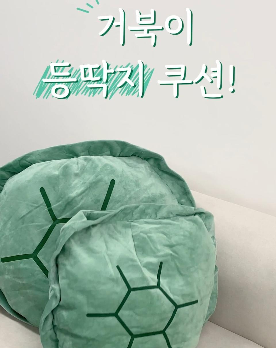 거북이 등쿠션! 인싸템 새제품~~