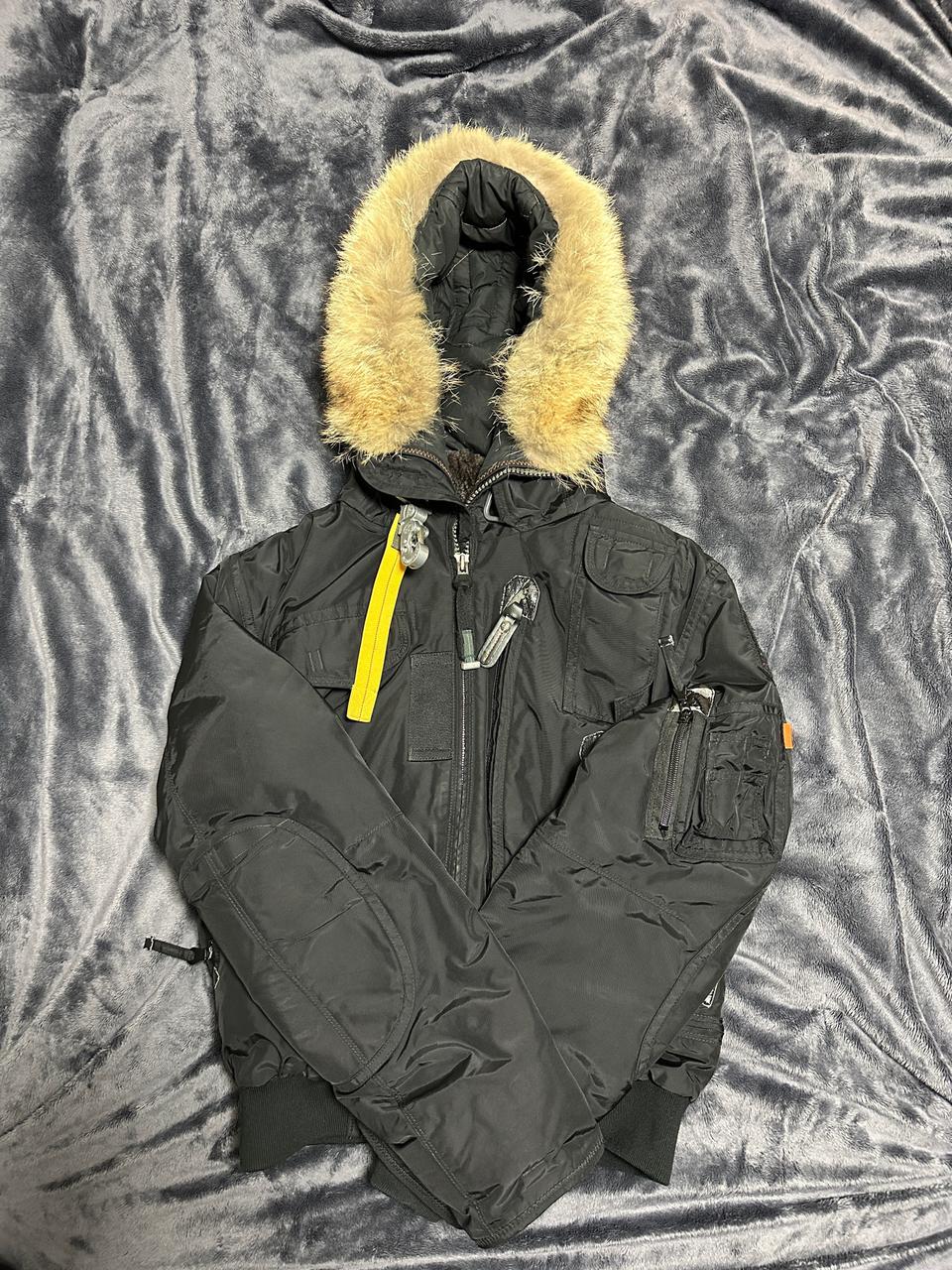 파라점퍼스 고비