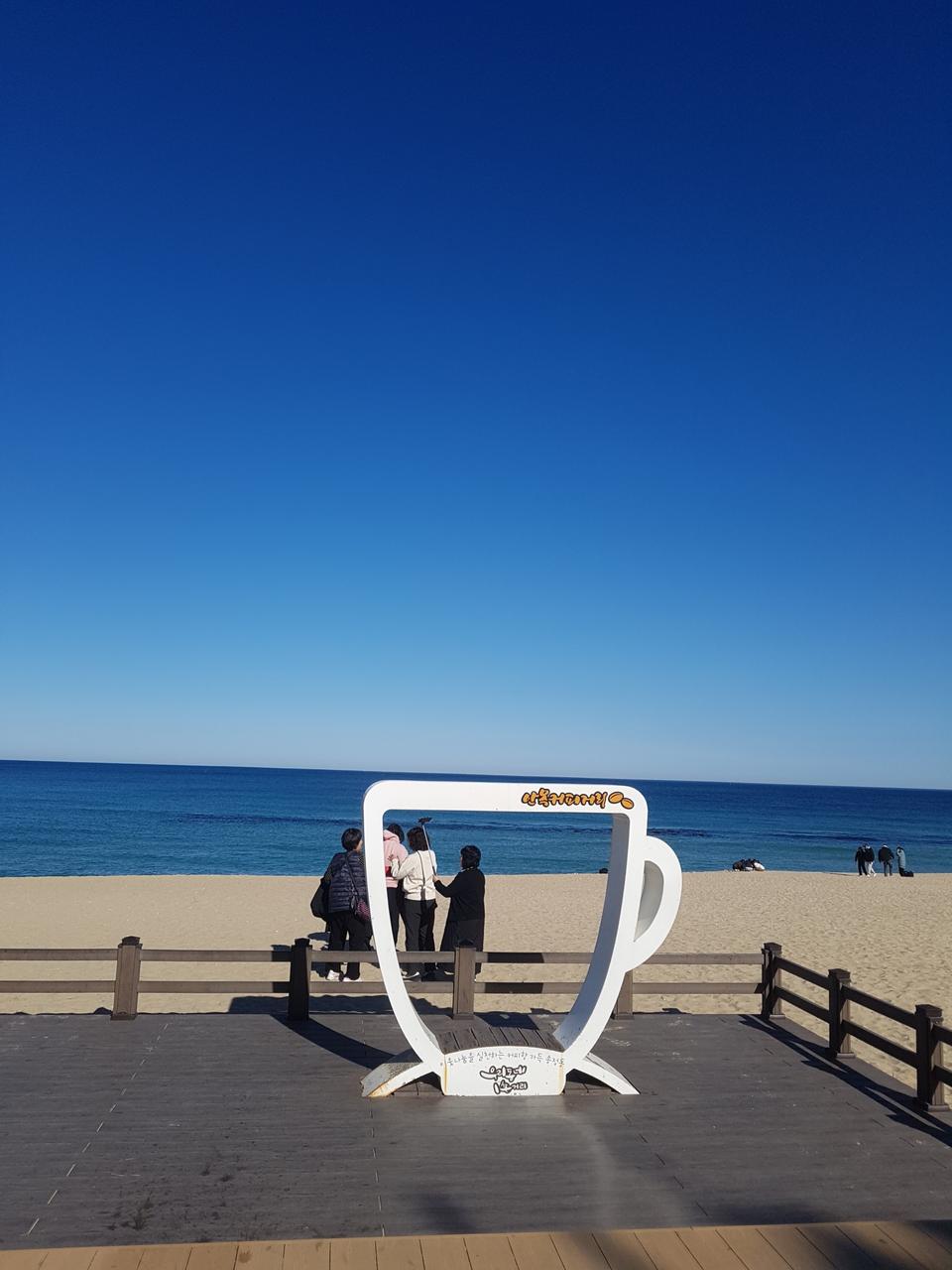 강릉여행 게스트/독채펜션/6인실/친구,가족모임여행 숙박/숙소