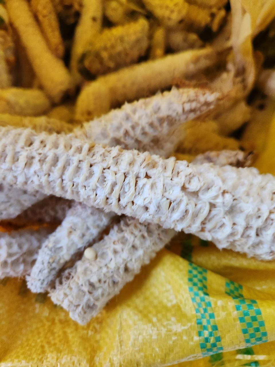 옥수수속대 잇몸 가글