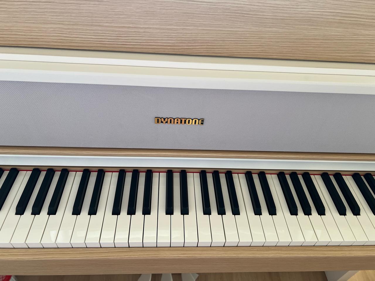 다이나톤 디지털 피아노