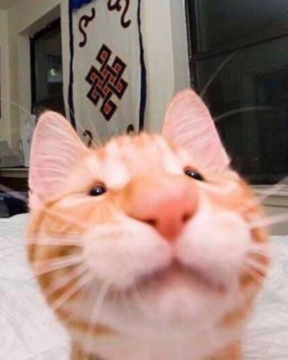 profileImg
