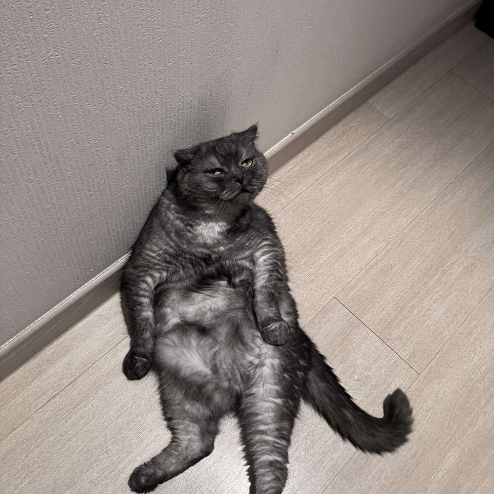 profileImg