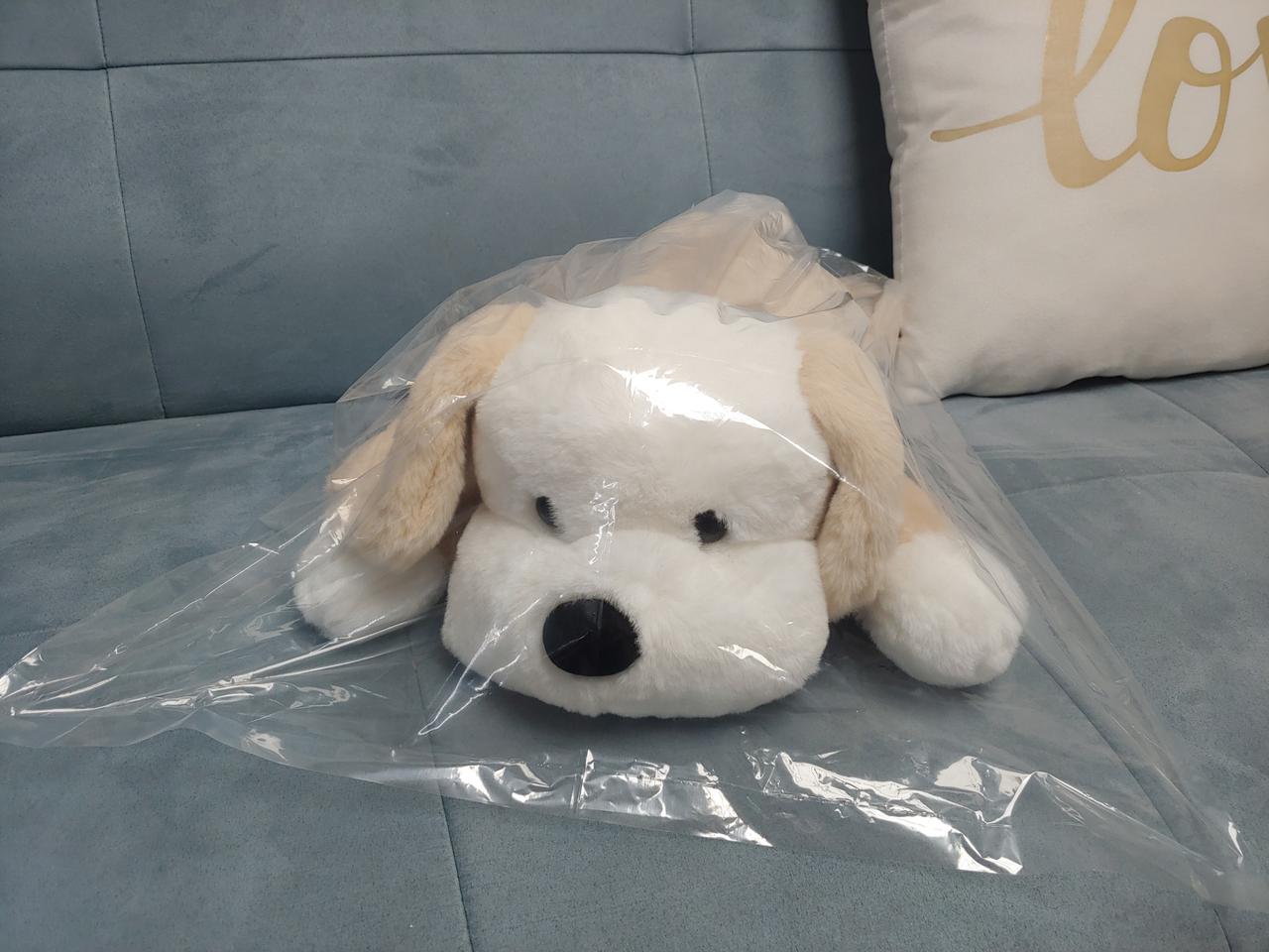 뭉치 강아지 모찌쿠션 대형인형 새거 팔아요