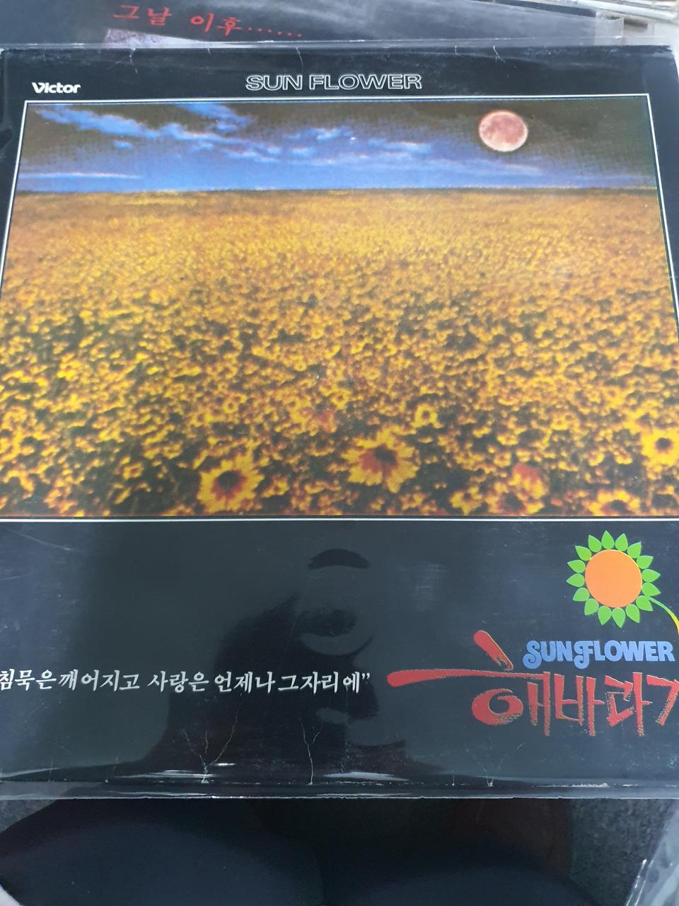 lp.해바라기3.사랑은언제나....