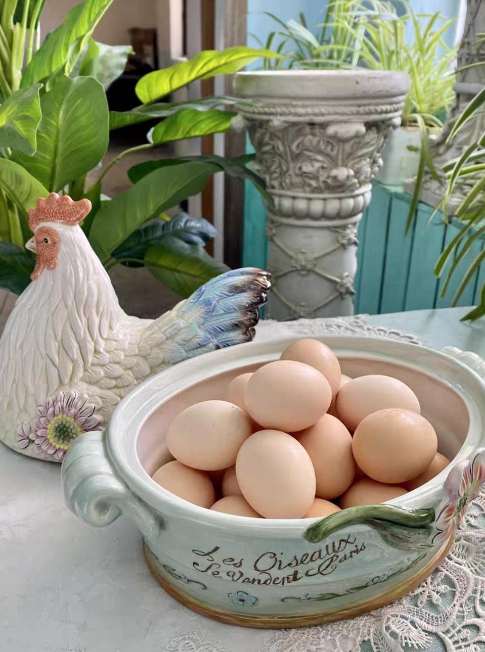 새상품)암탉 바구니 계란 뚜껑이 달린 그릇 보관함 주방 인테리어 소품