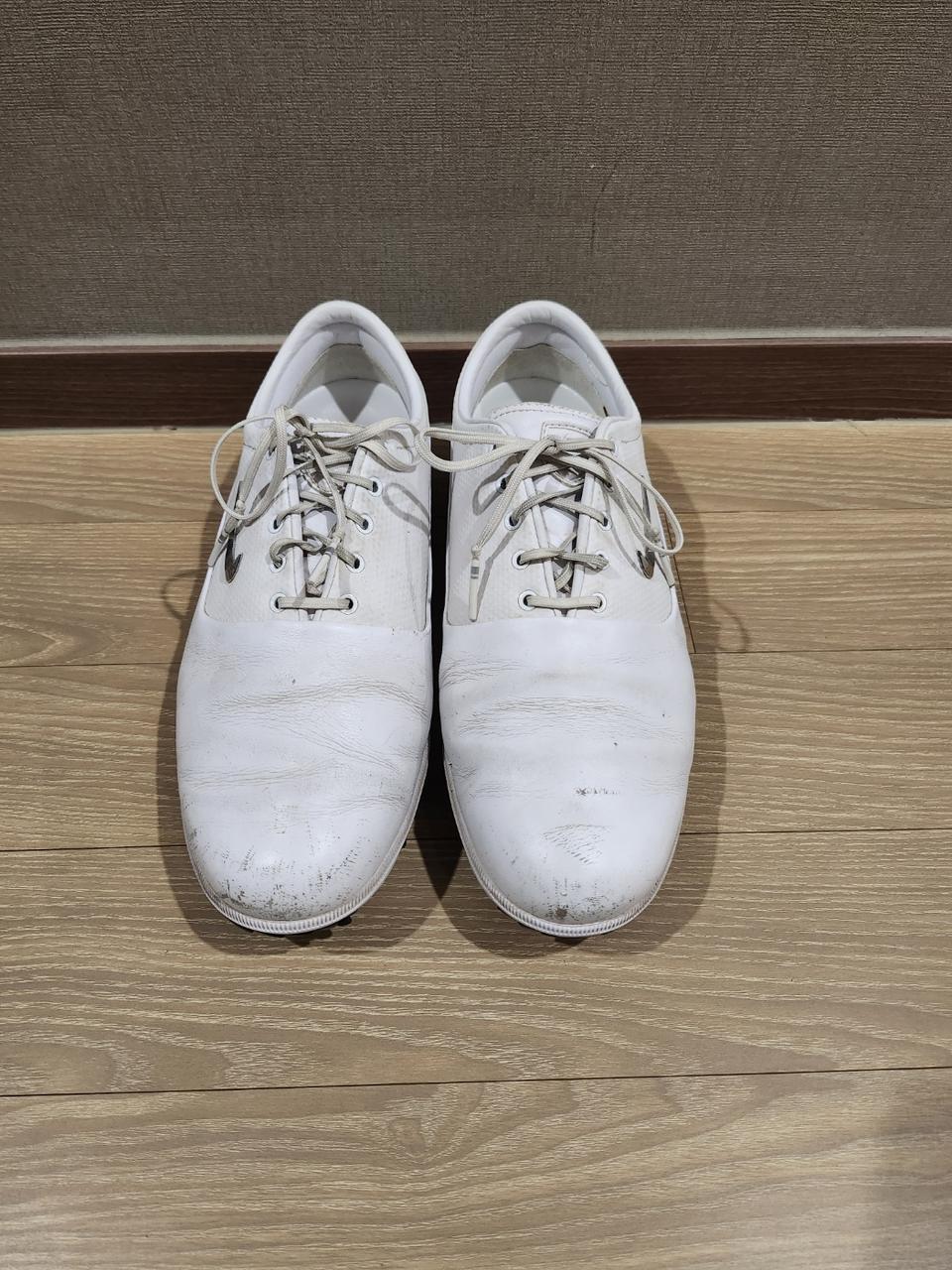 나이키골프화285