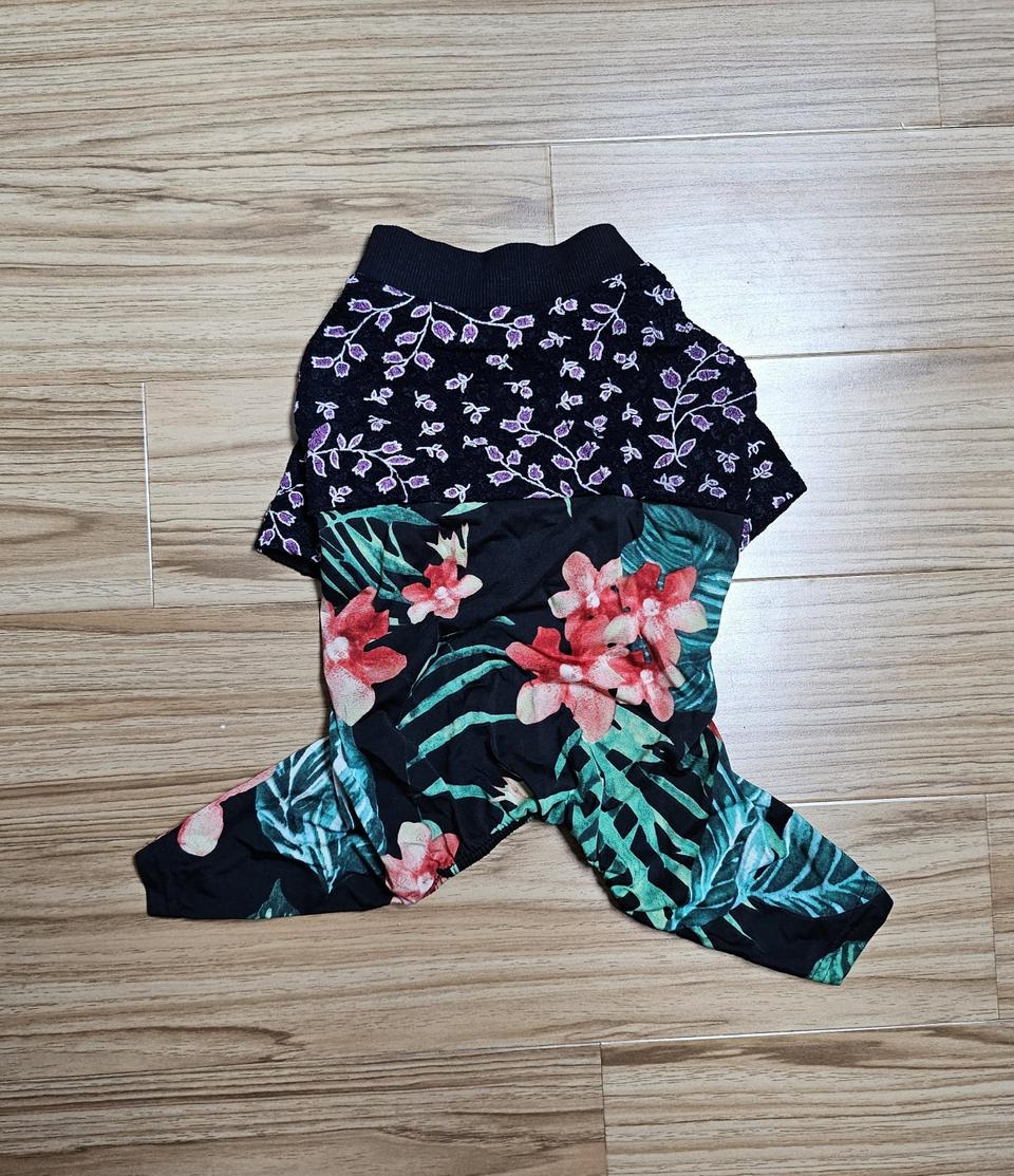 애견 스판 올인원